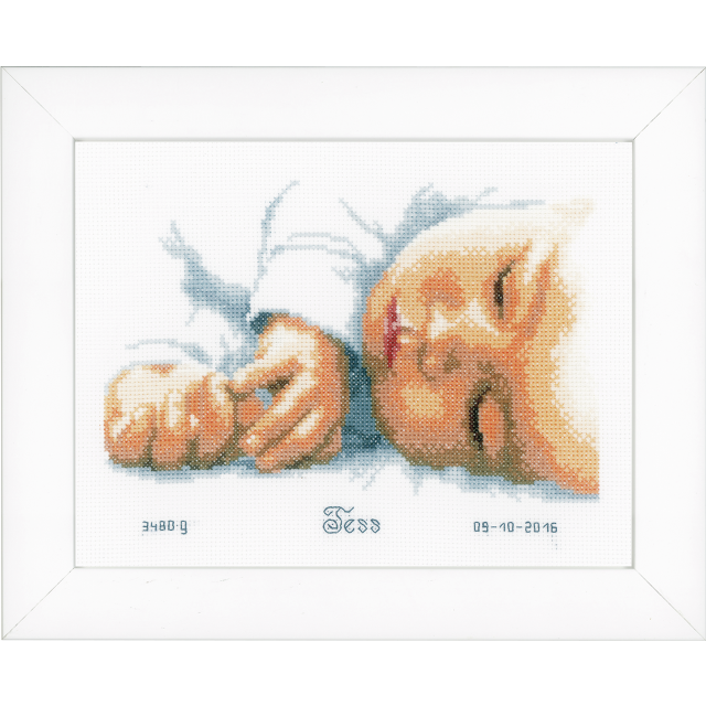 Buy Vervaco Birth Record New-Born Cross Stitch Kit by World of Jewellery