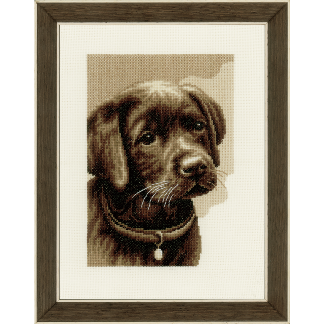 Buy Vervaco Labrador Puppy Cross Stitch Kit by World of Jewellery