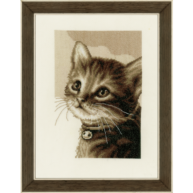 Buy Vervaco Kitten Cross Stitch Kit by World of Jewellery