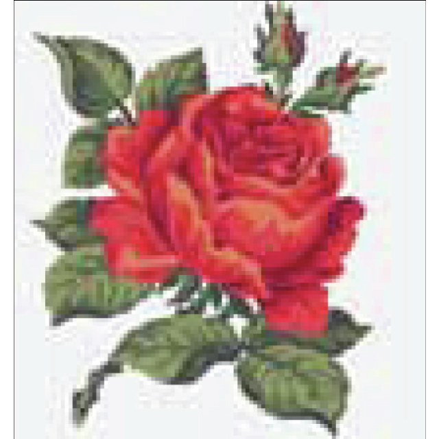 Buy Collection dArt Red Rose Tapestry Kit by World of Jewellery