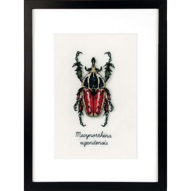 Buy Vervaco Red Beetle Cross Stitch Kit by World of Jewellery