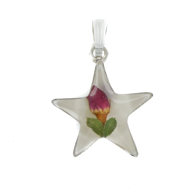 Buy Sterling Silver Real Red Rose Flower Star Pendant On A Snake Necklace by World of Jewellery