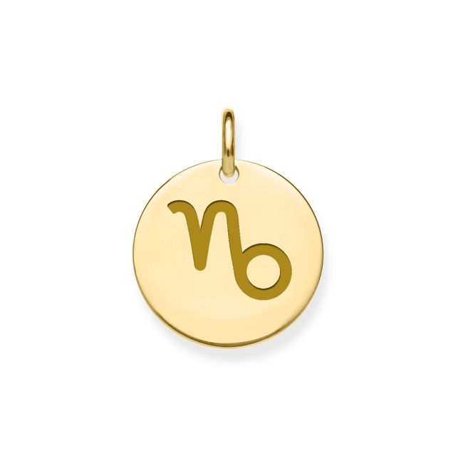 Buy Mens 9ct Gold 12mm Round Disc Capricorn Zodiac Pendant by World of Jewellery