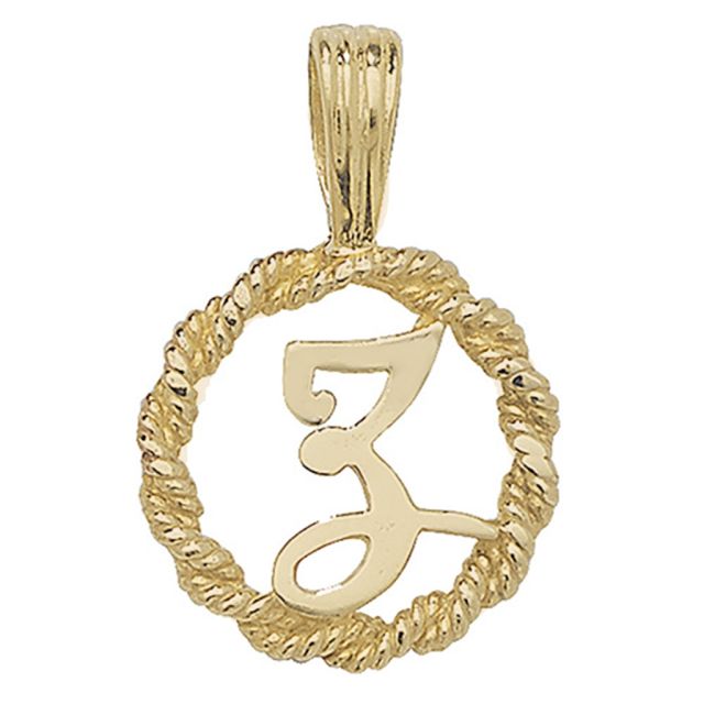 Buy Mens 9ct Gold 14mm Round Rope Edge Initial Z Pendant by World of Jewellery