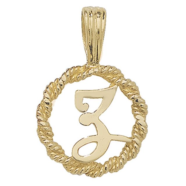 Buy 9ct Gold 14mm Round Rope Edge Initial Z Pendant by World of Jewellery