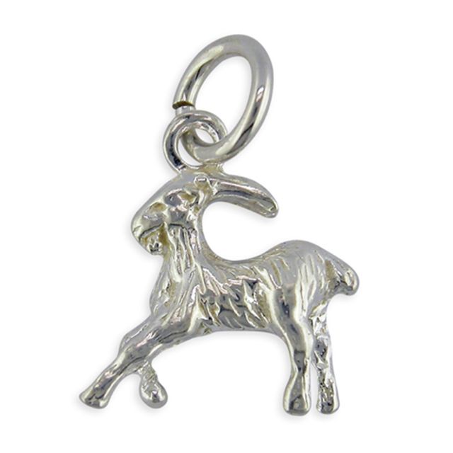 Buy Sterling Silver Zodiac Sign Capricorn Pendant by World of Jewellery