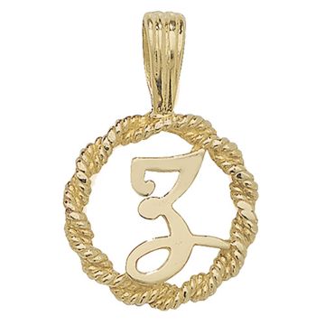 9ct Gold 14mm Round Rope Edge Initial Z Pendant